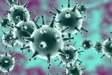7 шагов по профилактике новой коронавирусной инфекции фото 1